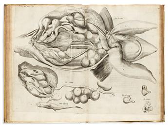 Fabricius, ab Aquapendente (1533-1619) Opera Anatomica.